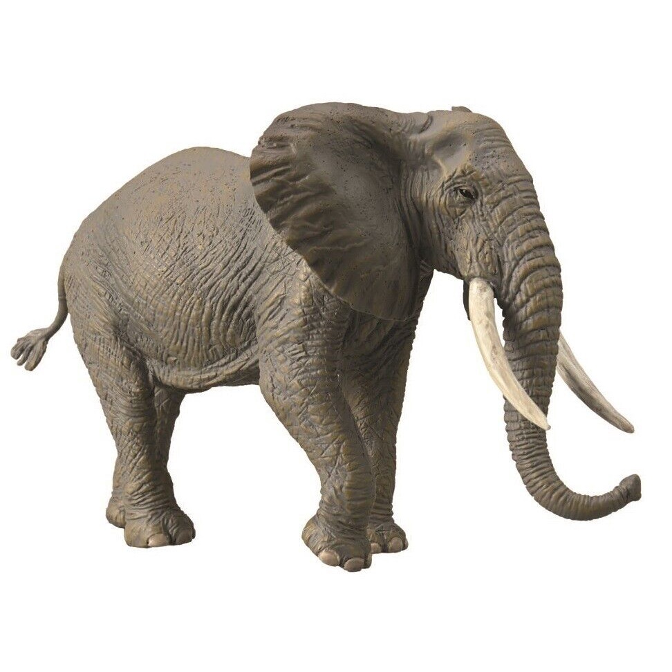 ของสะสม-ช้างแอฟริกัน-88966