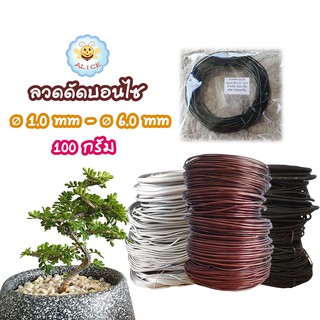 ถูกที่สุด ลวดดัดบอนไซ 100 กรัม ⌀1mm-6mm เหนียว ยืดหยุ่น ไม่เป็นสนิม ลวดอลูมิเนียม คุณภาพดี Bonsai Wire alicdolly