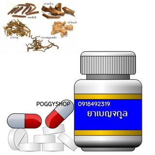 ภาพขนาดย่อของภาพหน้าปกสินค้ายาเบญจกูล ปรับธาตุ ปรับสมดุลร่างกาย ขนาด 100 แคปซูล นำหนักรม 250 กรัม จากร้าน poggyshop บน Shopee ภาพที่ 3