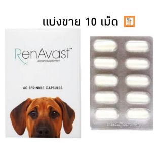 RenAvast แท้ ??% แบ่งขาย 10 เม็ด อาหารเสริมบำรุงไต สุนัข อาหารเสริม ไต โรคไต