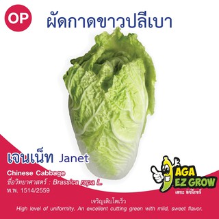 เมล็ดพันธุ์ ผักกาดขาวปลีเบา เจนเน็ท บรรจุ 10 กรัม [โปรโมชั่น ซื้อ10ซอง แถมฟรี 1ซอง]