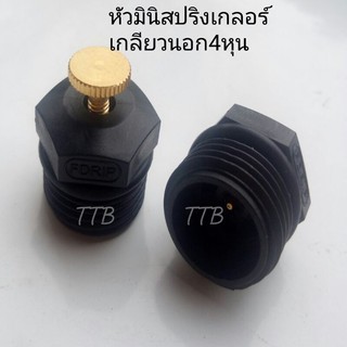 ภาพขนาดย่อสินค้ามินิสปริงเกอร์4หุน หัวละ6 บาท