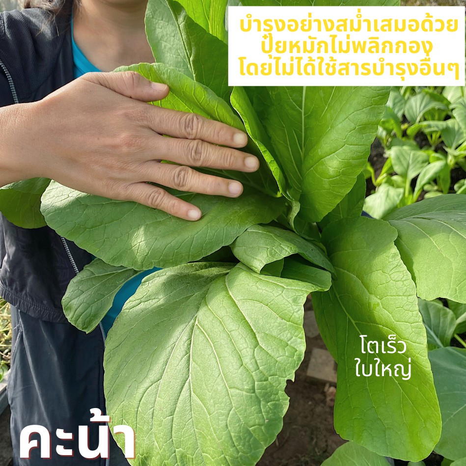 1-kg-ปุ๋ยอินทรีย์-ปุ๋ยหมักไม่พลิกกอง-ผลิตตามวิธีวิศวกรรมแม่โจ้-ปุ๋ยหมัก-เนื้อละเอียด-หากต้องการแยกถุงแจ้งได้ค่ะ