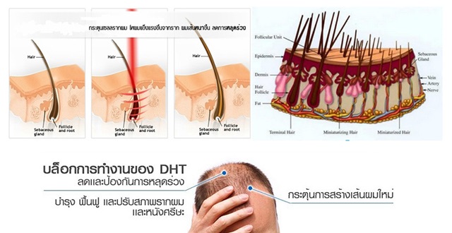 samorn-แซมออน-แชมพู-แฮร์โทนิค-250ml