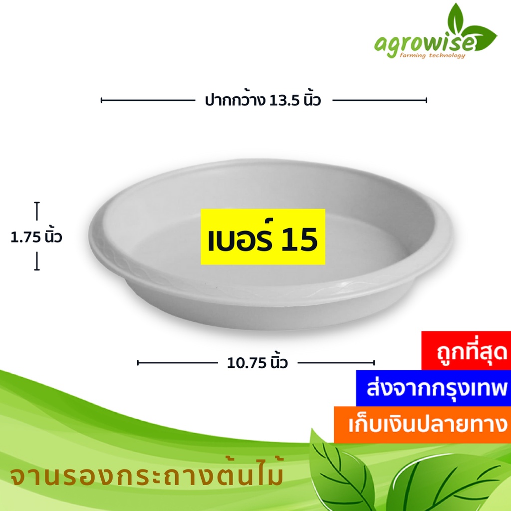 ถาดรองกระถางต้นไม้-จานรอง-จานรองกระถางต้นไม้-สีขาว-15-นิ้ว