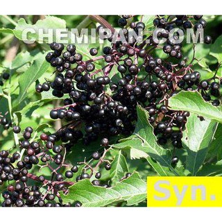 [CHEMIPAN] หัวน้ำหอม กลิ่นเอลเดอเบอร์รี่ (Elderberry Fragrance) 1kg.