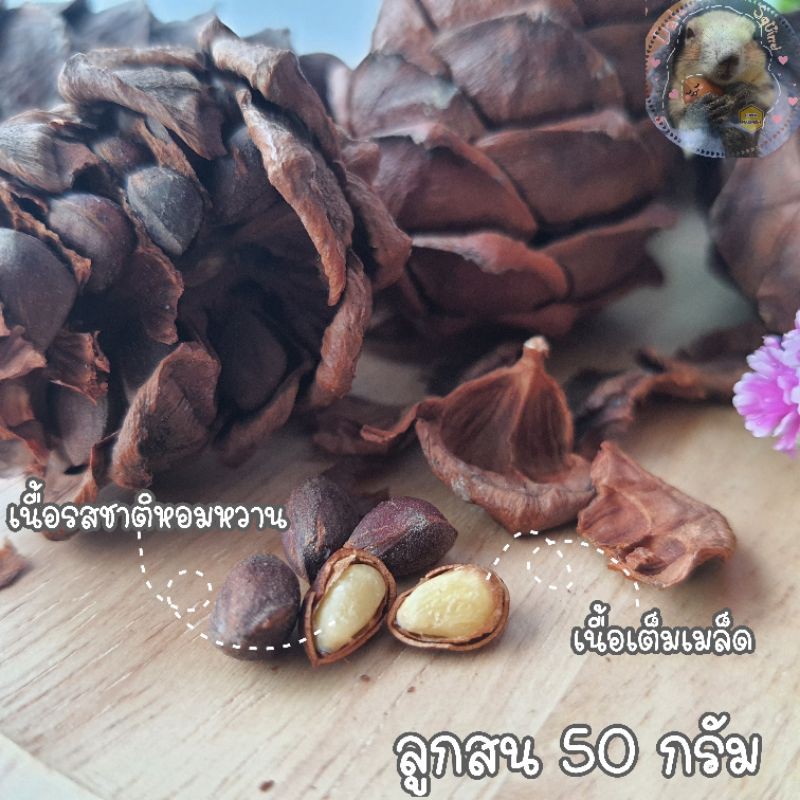 ลูกสน-pine-cone-50-กรัม-ลูกสนนำเข้า-แทะลับฟัน-ของแทะกระรอก-สำหรับ-สัตว์ฟันแทะ-กระรอก-นก-หนู