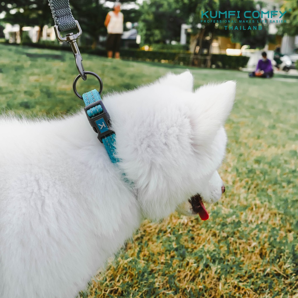 ปลอกคอสุนัข-outdoor-collar-kumfi-comfy-จากตัวแทนจำหน่ายอย่างเป็นทางการ-เจ้าเดียวในประเทศไทย