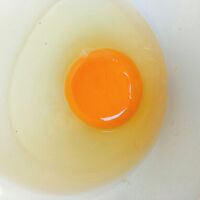 ภาพขนาดย่อของภาพหน้าปกสินค้าไข่ไก่จากแม่ไก่อารมณ์ดี. ไข่ออแกนิก 1 แพค30 ฟอง ..... จากร้าน nattyo1899 บน Shopee