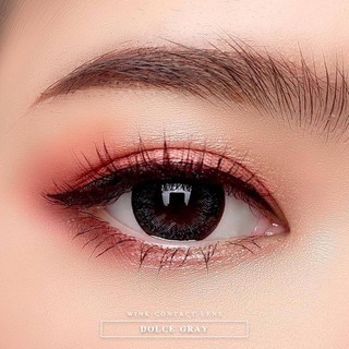 Dolce Gray (2) บิ๊กอาย สีเทา คอนแทคเลนส์ Pretty Doll ตาโต Contact Lens ค่าสายตา สายตาสั้น Kiss me ขอบดำ bigeyes แฟชั่น