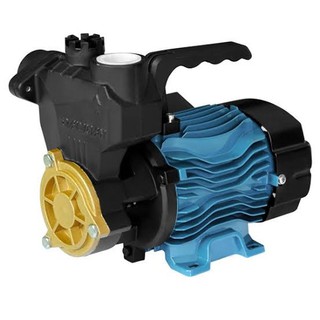 DAYUAN DGP-125 ปั๊มหอยโข่ง 1" ปั้ม Dayuan ปั๊มน้ำ  Self-Priming Pumps 125W ใบพัด BC สูง 23M