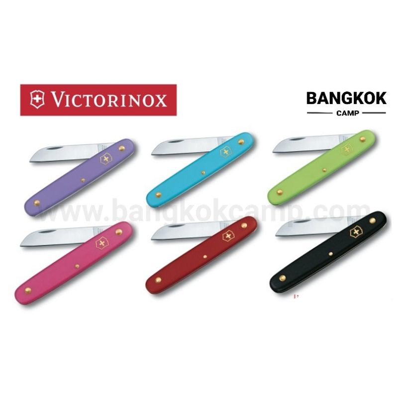 genuine-มีดติดตา-เสียบยอด-ต่อกิ่ง-มีดตอนกิ่ง-victorinox-ecoline-floral-knife-มีดเกษตร