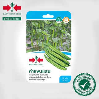 สินค้า ศรแดง เมล็ดพันธุ์ถั่วพู กำแพงแสน (East-West Seed) เมล็ดพันธุ์ผัก ผักสวนครัว ตราศรแดง