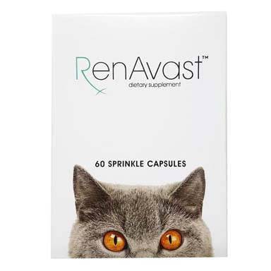 ภาพหน้าปกสินค้าRenavast for cat อาหารเสริมโปรตีน สำหรับแมว น้ำหนักไม่เกิน 9 กก. อายุ 1 ปีขึ่นไป บรรจุ 60 แคปซูล จากร้าน n.cham24 บน Shopee