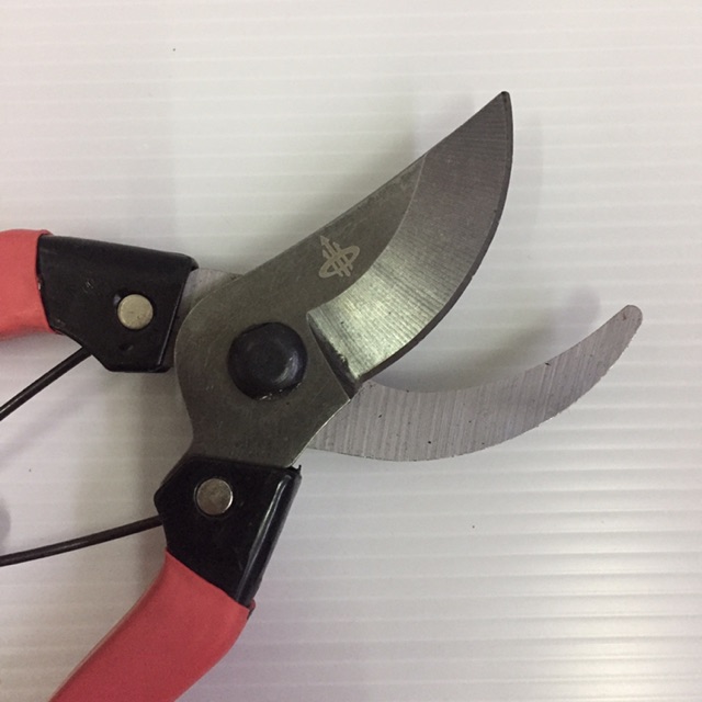 กรรไกรตัดกิ่ง-8-pruning-shears