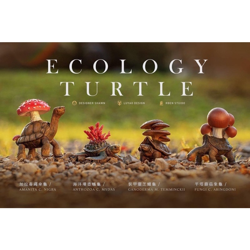 gashapon-ecology-turtle-เต่าหลังเห็ด-เต่าทะเลหลังปะการัง