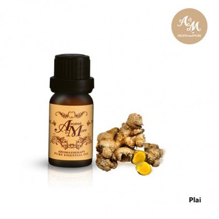 Aroma&amp;More PLAI Essential Oil 100% / น้ำมันหอมระเหย ไพล 100% ไทย / Thai 10/30ML
