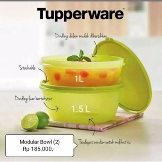 TUPPERWARE ชุดชามทัปเปอร์แวร์ โมดูลาร์ (2)