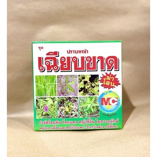 หญ้าโสนแดง ราคาพิเศษ | ซื้อออนไลน์ที่ Shopee ส่งฟรี*ทั่วไทย!