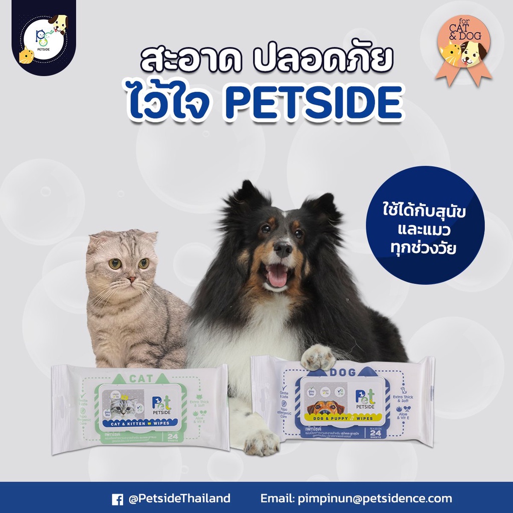 ผ้าเปียกสัตว์เลี้ยงโดยเฉพาะ-petside-ได้ทั้งลูกหมา-ลูกแมว-adult