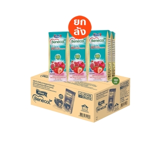 โปรโมชั่น : EXP 261123 Benecol เบเนคอลนมยูเอสที รสทับทิมและสตรอเบอร์รี่ช่วยลดคอเลสเตอรอล แพค 36 กล่อง