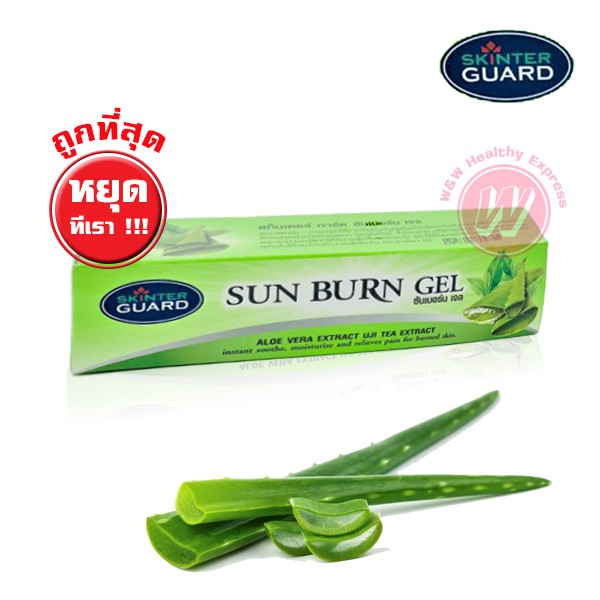 Skinter guard sun burn aloe gel 25 g - เจลวานหางจระเข้ สกินเตอร์ การ์ด ...