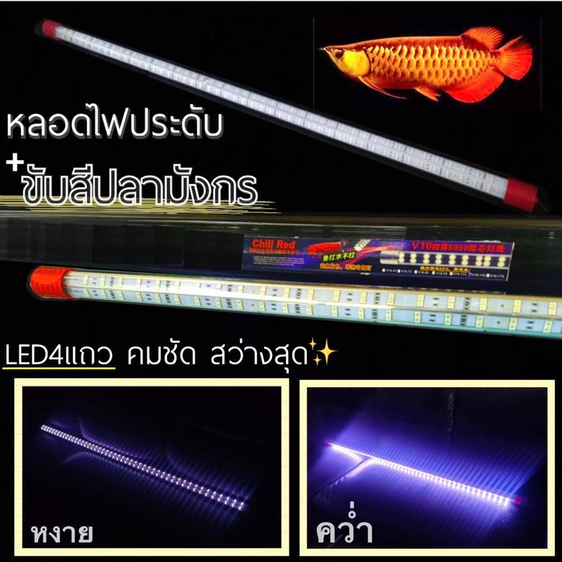 หลอดไฟ-led-full-color-system-ขับสีปลา