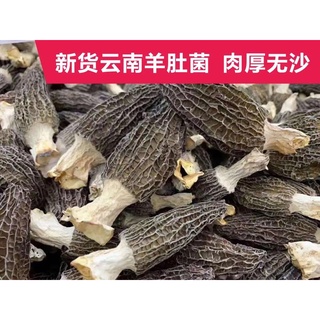 เห็ดมอเรล ไซร้ใหญ่ ขนาด100g พร้อมส่ง ราชินีเห็ดป่า ป้องกันโรคหัวใจ-ยาชูกำลัง เห็ดมอเรลแห้ง 羊肚菌