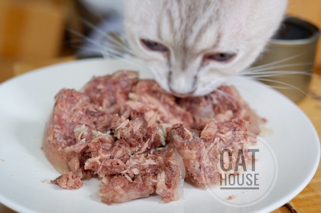 185g-ขายดีอันดับ1-อาหารแมวกระป๋อง-อาหารสุนัข-cat-house