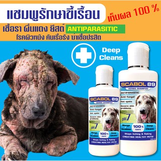 ภาพขนาดย่อของสินค้า( ก)แชมพู SCABOL 89(สูตรสำหรับสุนัข) ขี้เรื้อน เชื้อรา ยีตส์ คัน ขนร่วง