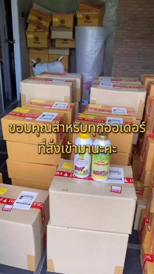 ไคโตซานฟาสท์พลัส-ฝาสีทอง-ไคโตซานสัตว์-ผสมติดง่าย