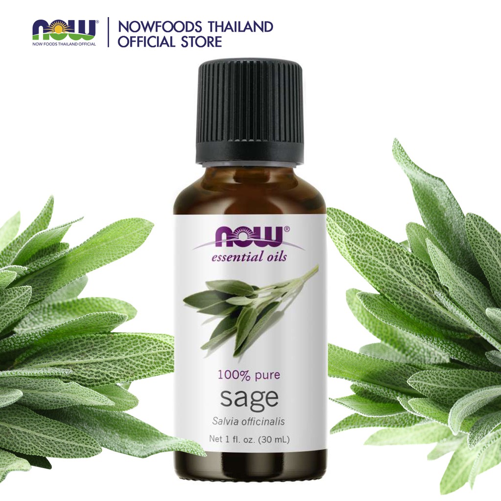 Now Essential Oils Sage 100% Pure 30 ml.น้ำมันหอมระเหย กลิ่นสะระแหน่ ...