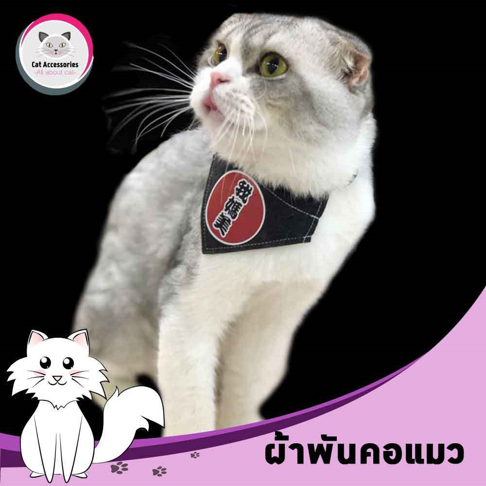 cataccessories-ผ้าพันคอสำหรับแมว-ผ้าพันคอทรงสามเหลี่ยมสำหรับแต่งตัวแมว-ผ้าพันคอสัตว์เลี้ยง-สีดำ-มี3ขนาดให้เลือก