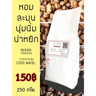 ( 250 กรัม ) Catimore เมล็ดกาแฟสด กาแฟสด กาแฟบด กาแฟคั่ว อราบิก้า100% Premium !!