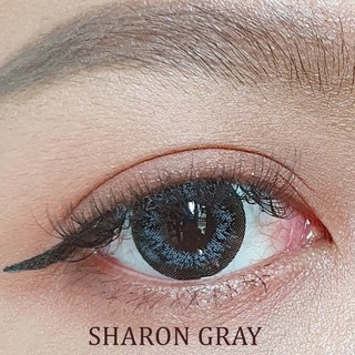 Sharon Gray (2) บิ๊กอาย สีเทา เทา โตกลางๆ ทรีโทน Bigeyes Kitty Kawaii คอนแทคเลนส์ ค่าสายตา ค่าอมน้ำสูง สายตาสั้น มินิ