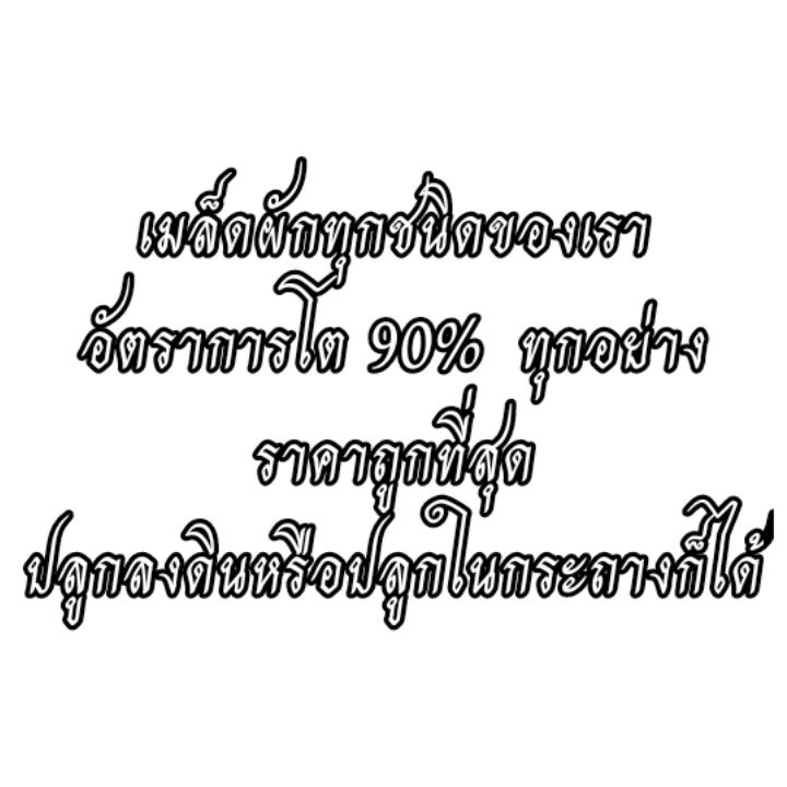 เมล็ดพันธุ์ผัก-เมล็ดผักสวนครัว-10แถม1-ปลูกง่ายโตไว-เมล็ดผักใหม่-ราคา5บาท
