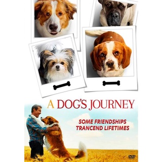 A Dogs Journey หมา เป้าหมาย และเด็กชายของผม 2