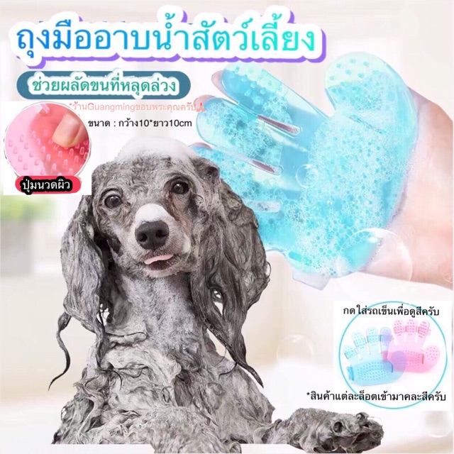 ภาพหน้าปกสินค้าถุงมือแปรงขน อาบน้ำสัตว์เลี้ยง ถุงมืออาบน้ำสัตว์เลี้ยง แบบสวมมือ ( พร้อมส่ง ) จากร้าน guang.ming บน Shopee