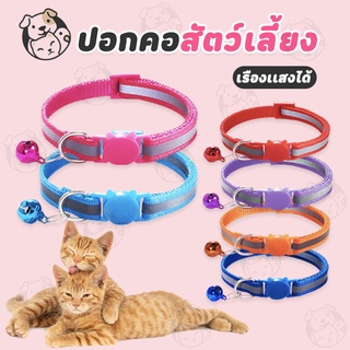 ปลอกคอ  ปลอกคอแมว มีแถบสะท้อนแสง ปลอกคอสุนัข ปลอกคอแมว สีสันสดใส ปลอกคอสัตว์เลี้ยง พร้อมส่ง