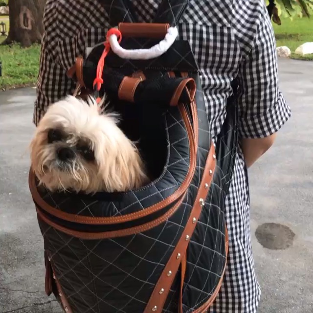 bag-carrier-doggydolly-กระเป๋าแฟชั่นสำหรับใส่หมาแมว-กระเป๋าเป้-pc199-black-color-big-size