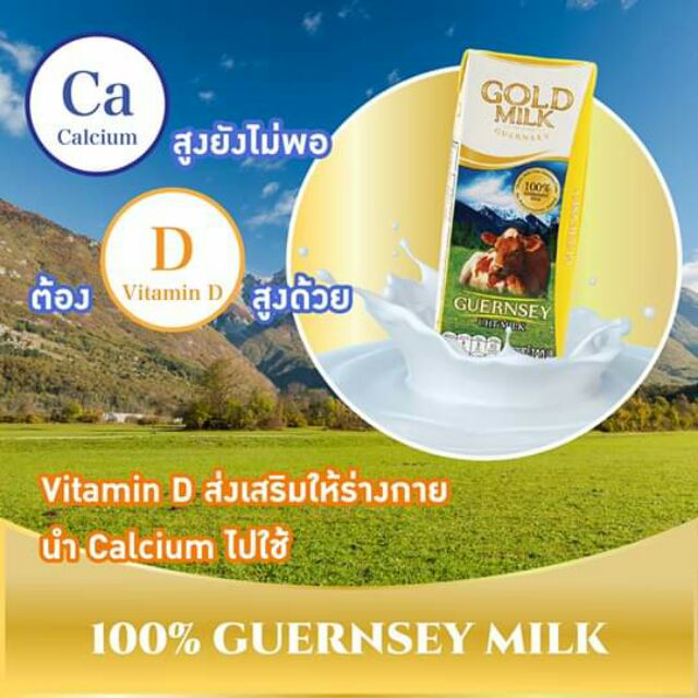 goldmilk-แพ็ค4กล่อง