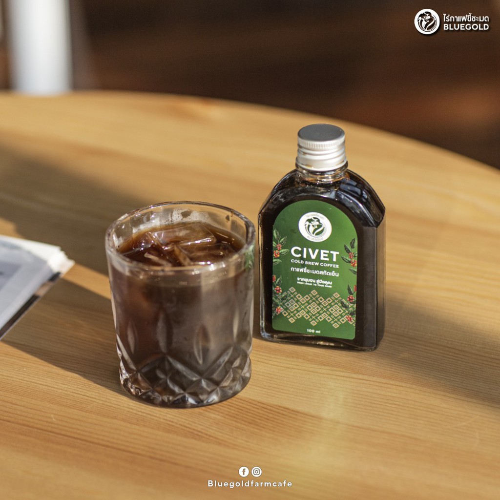 กาแฟขี้ชะมดสกัดเย็น-civet-cold-brew-coffee-จากไร่กาแฟขี้ชะมด-bluegold