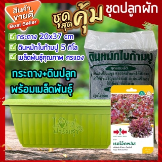 ชุดปลูกผัก 🍂 ชุดปลูกผักสวนครัว ชุดปลูกผักสำเร็จ ดินปลูกผัก+เมล็ดพันธุ์ศรแดง+กระถาง ปลูกง่าย ไม่ยุ่งยาก โตไว