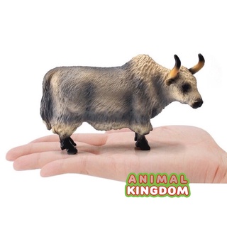 Animal Kingdom - โมเดลสัตว์ วัวขนจามรี เทา ขนาด 14.50 CM (จากหาดใหญ่)