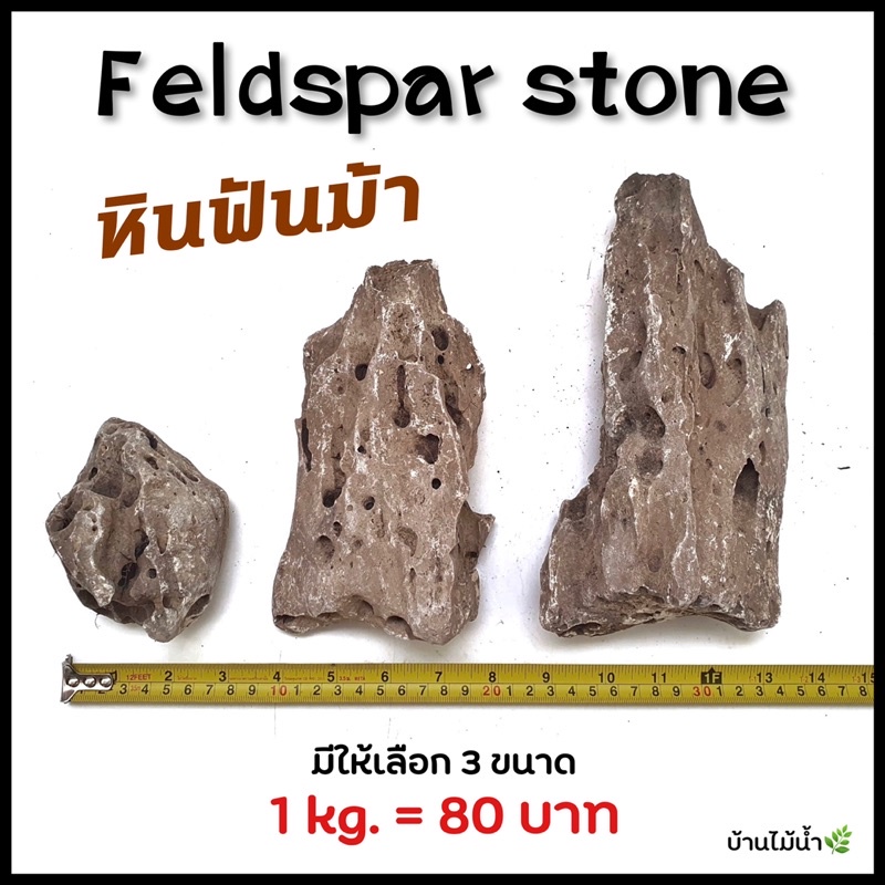 หินฟันม้า-feldspar-stones-ตกแต่งตู้ปลา-ตู้ไม้น้ำ-หินตู้ปลา-หินตู้ไม้น้ำ-หินตกแต่งสวน-หินตกแต่งตู้ปลา-บ้านไม้น้ำ