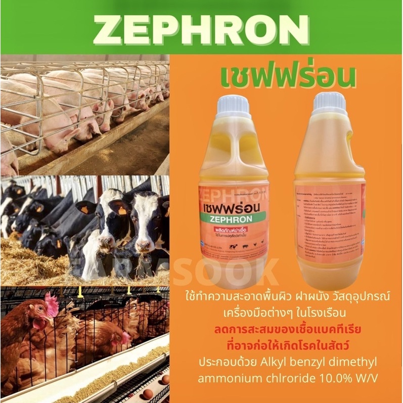 ภาพสินค้าเซฟฟร่อน ZEPHRON 1 ลิตร ผลิตภัณฑ์ทำความสะอาดโรงเรือน ฆ่าเชื้อโรคแบคทีเรีย จากร้าน farmsook_shop บน Shopee ภาพที่ 1