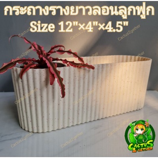 กระถางรางยาวลอนลูกฟูก กระถางวางโต๊ทำงาน โต๊ะทานข้าว ริมระเบียง 12"×4"×4.5"🌸