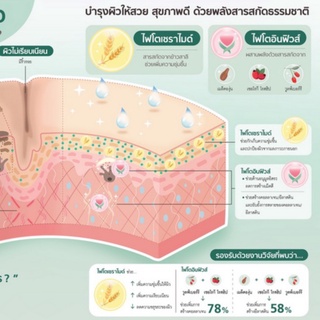 ภาพขนาดย่อของภาพหน้าปกสินค้าAmway Truvivity by Nutrilite แอมเวย์ ทรูวิวิตี้ บาย นิวทริไลท์ (ของแท้รับประกันคุณภาพ) จากร้าน healstyle บน Shopee ภาพที่ 4