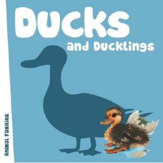 DKTODAY หนังสือ ANIMAL FAMILIES:DUCKS &amp; DUCKLINGS
