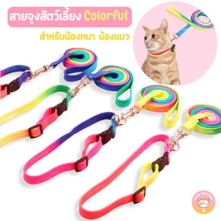 พร้อมส่ง สายจูงสุนัข สายจูงแมว ปลอกคอแมว สีColorful เซ็ตพร้อมปลอกคอและสายจูง A004